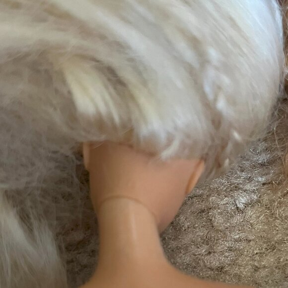 Barbie 5 Dolls, 2 Heads, Earrings, Necklace, Micro of America Horse - Picture 9 of 14